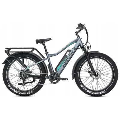 Rower elektryczny Jobobike ROBIN PRO